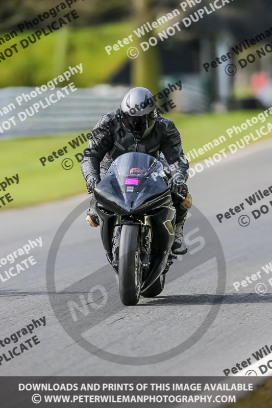 Oulton Park 21st March 2020;PJ Motorsport Photography 2020;anglesey;brands hatch;cadwell park;croft;donington park;enduro digital images;event digital images;eventdigitalimages;mallory;no limits;oulton park;peter wileman photography;racing digital images;silverstone;snetterton;trackday digital images;trackday photos;vmcc banbury run;welsh 2 day enduro